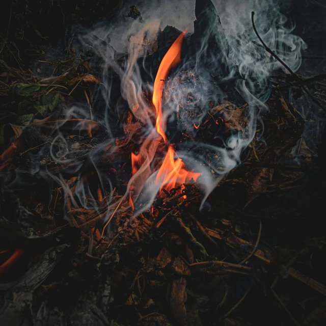 a close up of a fire with smoke coming out of it, an album cover, by Daniel Lieske, pexels contest winner, campfire, ayahuasca, smoke and debris, ignant