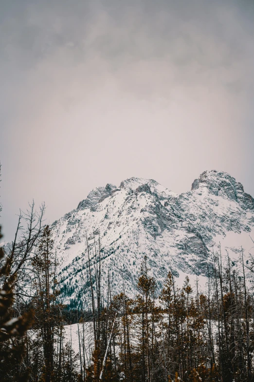 a snow covered mountain with trees in the foreground, trending on unsplash, overcast gray skies, wyoming, multiple stories, portrait photo