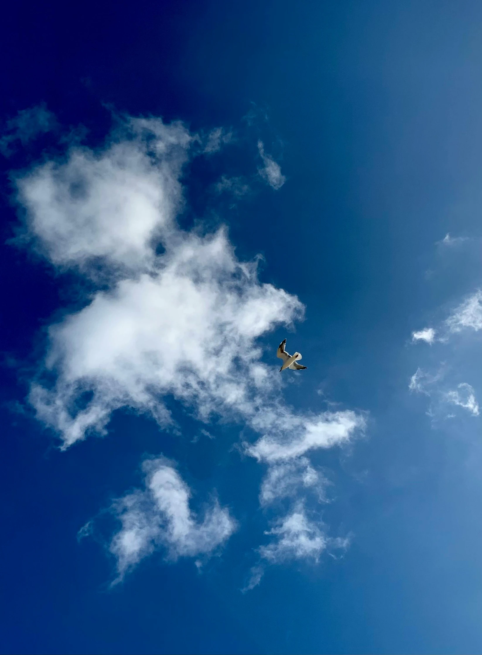 an airplane is flying high in the sky, a picture, by Niko Henrichon, pexels contest winner, hurufiyya, avatar image, blue skies, today\'s featured photograph 4k, top down perspecrive