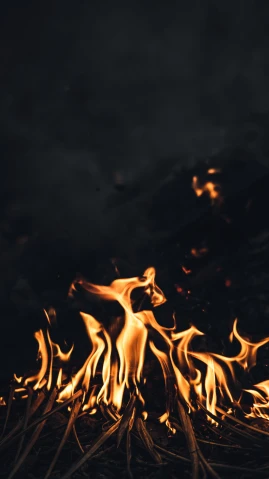 a fire in the middle of a field at night, an album cover, inspired by Elsa Bleda, trending on pexels, fire and flames mane, gif, closeup shot, unsplash 4k