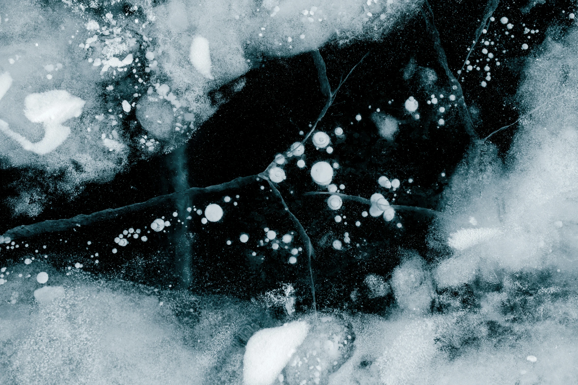 a black bird sitting on top of snow covered ground, a microscopic photo, inspired by Vija Celmins, unsplash, abstract expressionism, underwater bubbles, 8k archival print, cyanotype, black marble