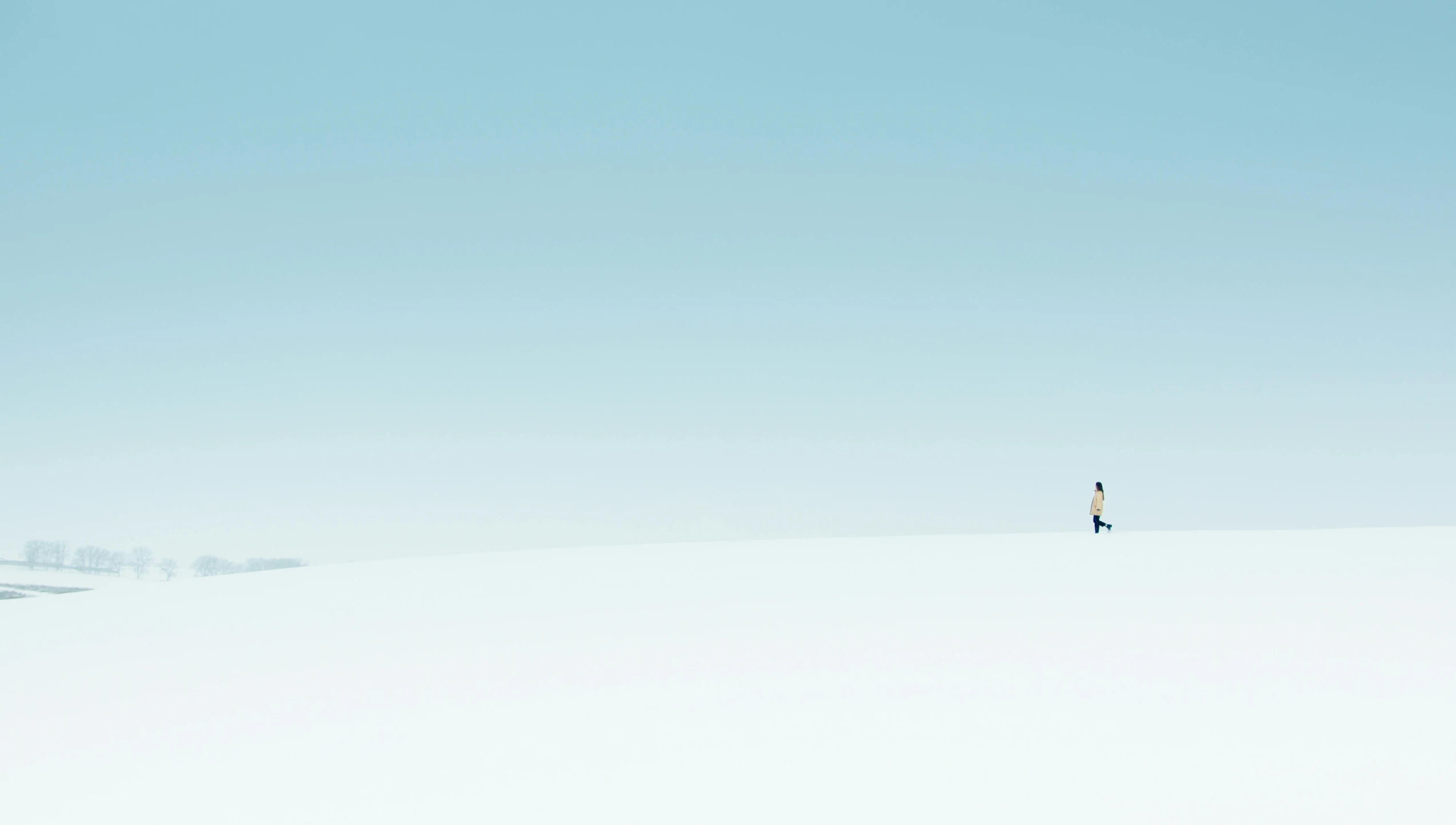 a person walking across a snow covered field, by Matthias Weischer, minimalism, light-blue, computer wallpaper, curiosity, minimalissimo