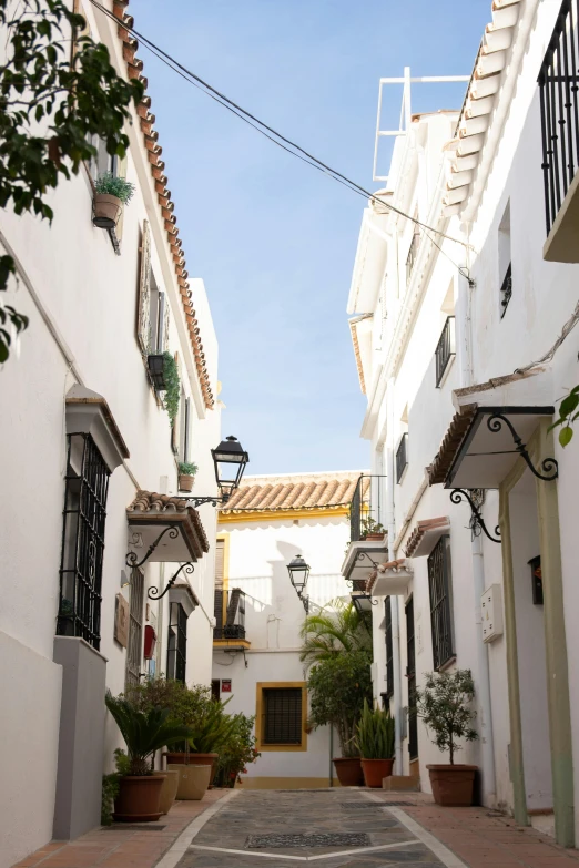 a narrow street lined with white buildings and potted plants, spanish princess, exterior shot, square, belle