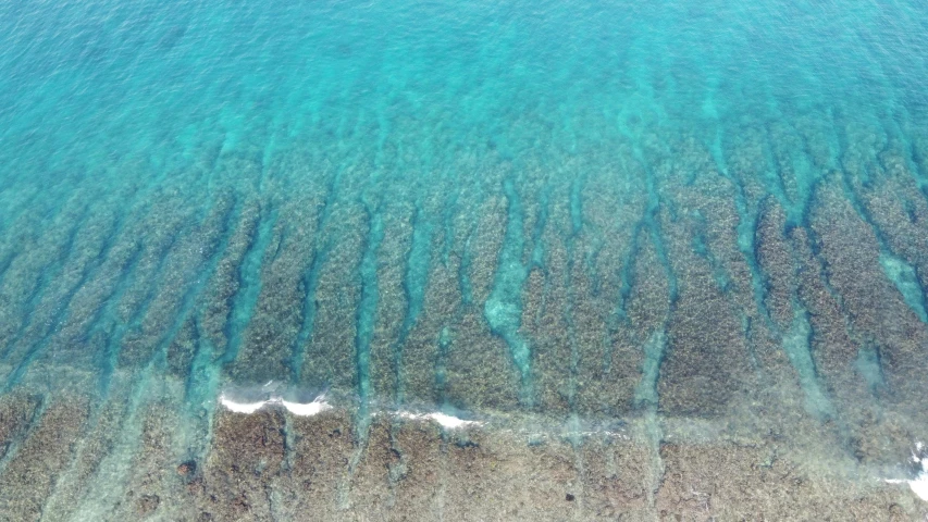 a large body of water next to a beach, by Carey Morris, happening, delicate coral sea bottom, lined up horizontally, looking down from above, wall of water either side