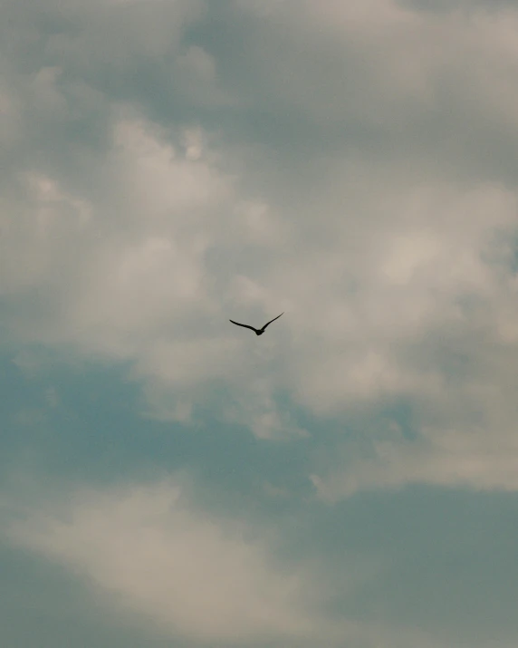 a bird flying through a cloudy blue sky, an album cover, pexels contest winner, postminimalism, grainy photo, ignant, 2 0 2 2 photo, trending on vsco