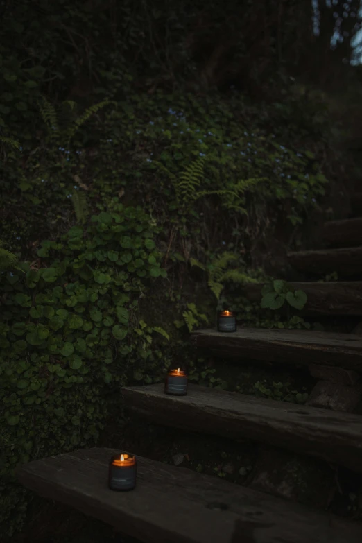 a bunch of candles that are on some steps, in a redwood forest, small path up to door, cliffside, dark-toned product photos