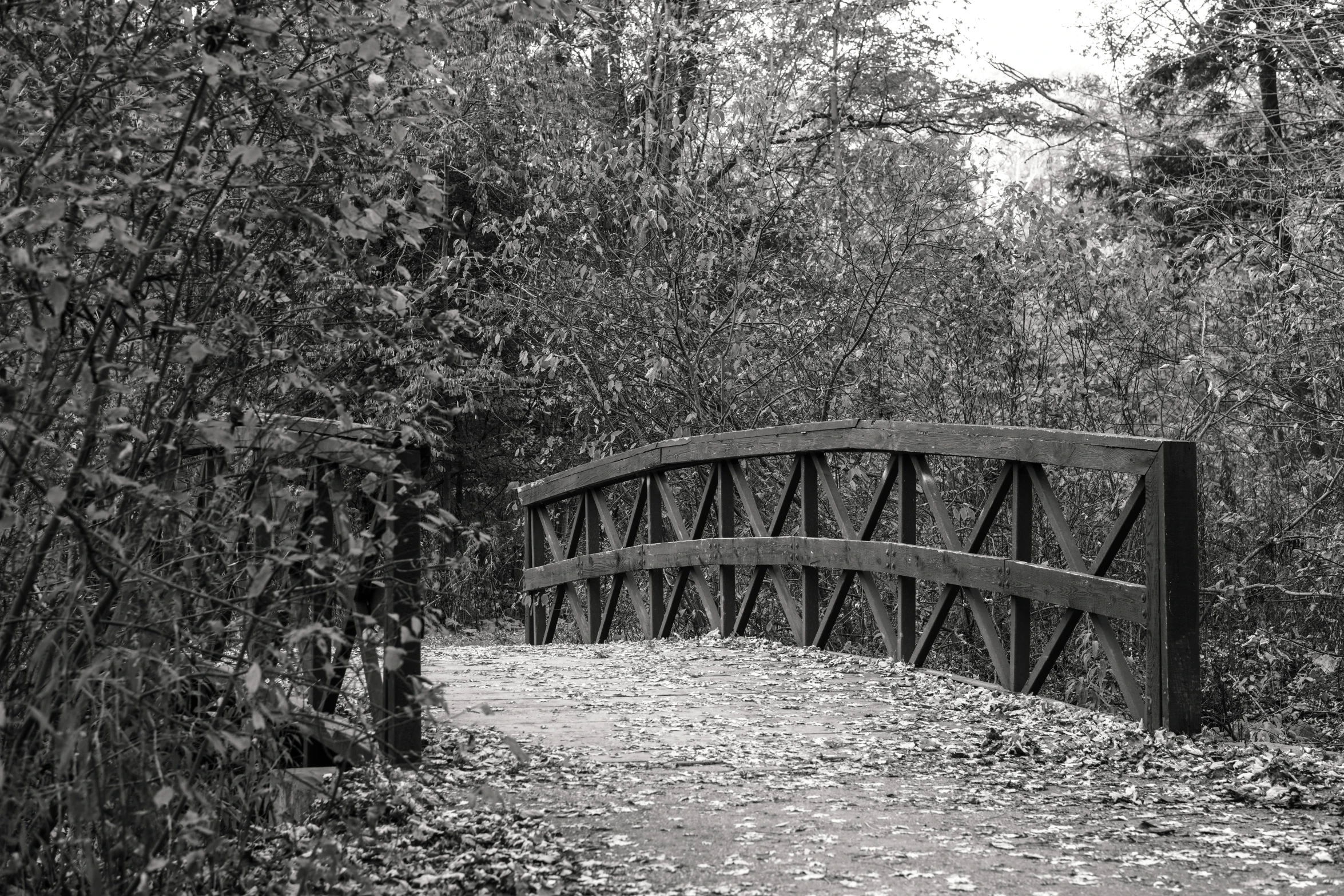 a black and white photo of a bridge in the woods, a black and white photo, pixabay, autumn season, trying to ride it, curves!!, taken in the late 2000s