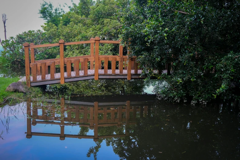 a wooden bridge over a body of water, a picture, inspired by Frederick Goodall, unsplash, hurufiyya, in marijuanas gardens, reflect photograph, a wooden