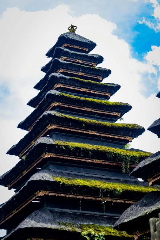 a tall pagoda sitting on top of a lush green hillside, inspired by Itō Jakuchū, unsplash, minimalism, bali, panels, detail structure, moss growing on their clothes