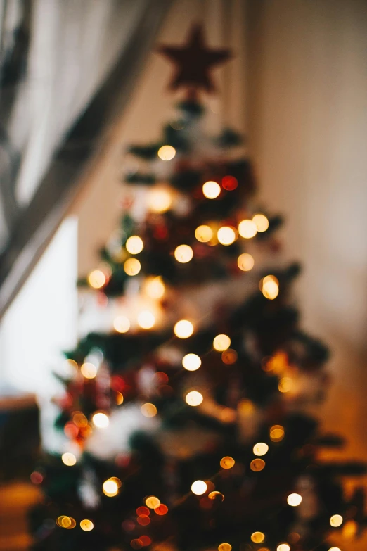 a small christmas tree in front of a window, pexels, light and space, lit from above, zoomed in, tall, gif