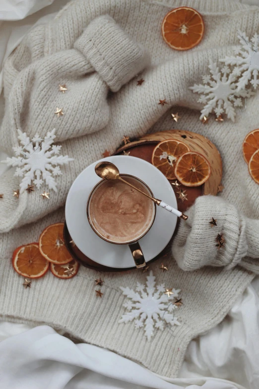 a cup of coffee sitting on top of a white blanket, orange slices, snowflakes, thumbnail, copper details