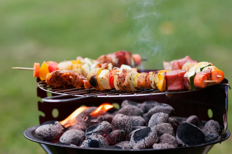 a close up of a grill with skewers on it, by Niko Henrichon, shutterstock, plates of fruit, “ iron bark, fire pit, avatar image