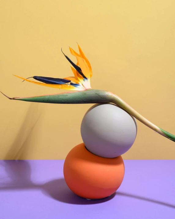 a bird of paradise flower sitting on top of an orange ball, inspired by Robert Mapplethorpe, new sculpture, modelling clay, lulu chen, 2019 trending photo, multiple stories