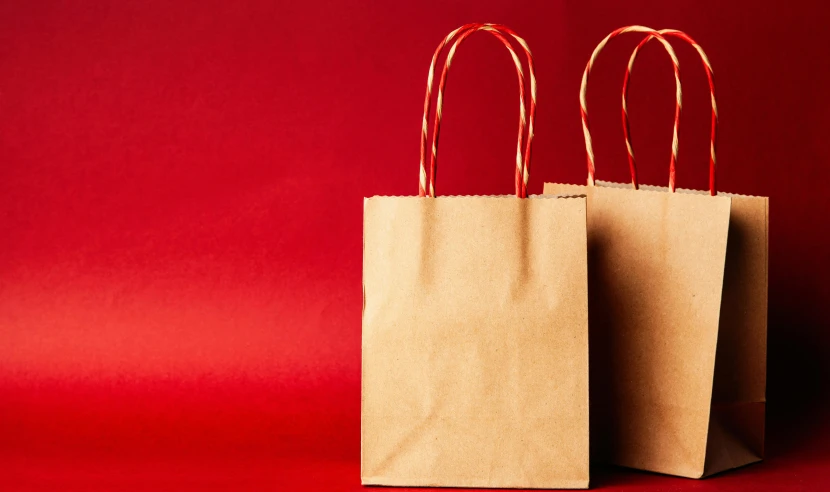 two brown paper bags on a red background, pexels, plasticien, handbag, toys, manuka, small
