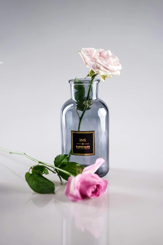 a single pink rose sitting in a glass vase, inspired by Pierre-Joseph Redouté, instagram, grey, glass bottle, product view, handcrafted