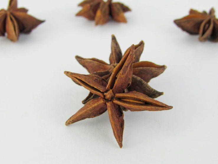 a bunch of star anise on a white surface, pexels, 2000s photo, hand carved brown resin, chewing tobacco, crisp detail