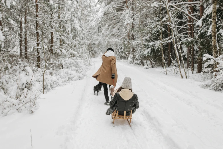 a couple of people riding a sled down a snow covered road, by Emma Andijewska, pexels contest winner, visual art, forest picnic, brown, cottagecore, thumbnail