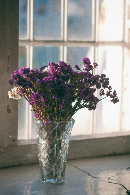 a vase filled with purple flowers sitting in front of a window, inspired by Elsa Bleda, romanticism, dried herbs, sparkling, filled with natural light, victorian setting