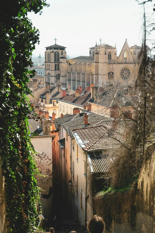 a group of people walking down a narrow street, by Theo Constanté, pexels contest winner, renaissance, overlooking a valley with trees, buttresses, andre le notre, beige