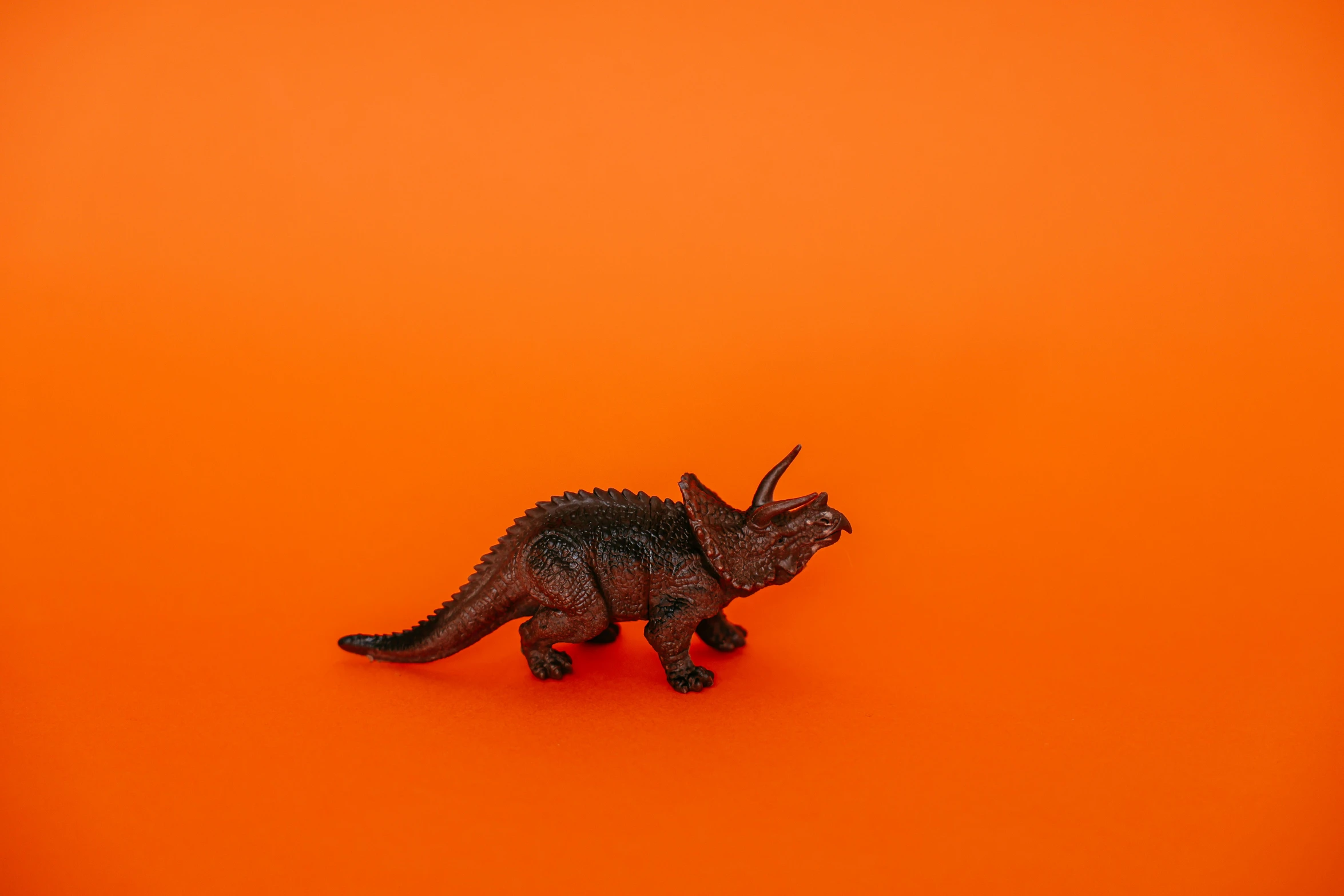 a toy dinosaur on an orange background, by Adam Marczyński, trending on unsplash, magic realism, a horned, chocolate, triceratops, black on white background