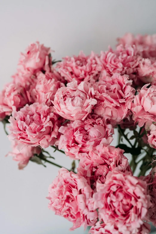 a vase filled with pink carnations on a table, zoomed in, on grey background, detailed product shot, upclose