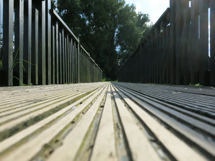 a close up of a wooden bridge with trees in the background, inspired by Thomas Struth, unsplash, pavements, worm's eye view from the floor, black vertical slatted timber, in the sun
