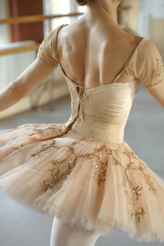 a close up of a person in a tutu, arabesque, delicate embellishments, showing her shoulder from back, danile gerhartz, during dawn