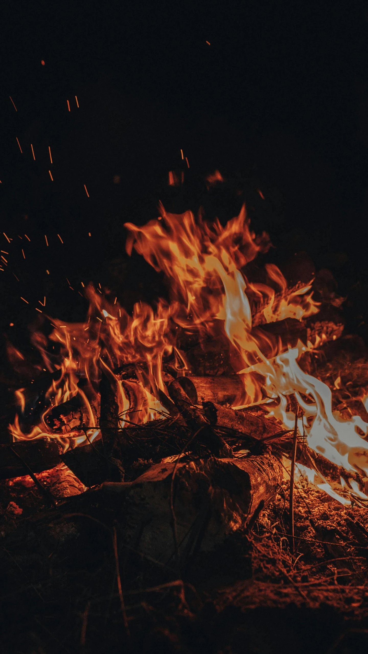 a person standing in front of a fire, pexels contest winner, at a campfire at night, profile image, edited, fire place roaring