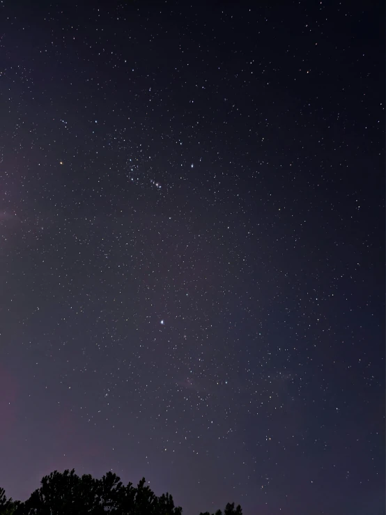 the night sky with stars and trees in the foreground, an album cover, pexels contest winner, light and space, star(sky) starry_sky, minimal background, instagram post, tiny stars