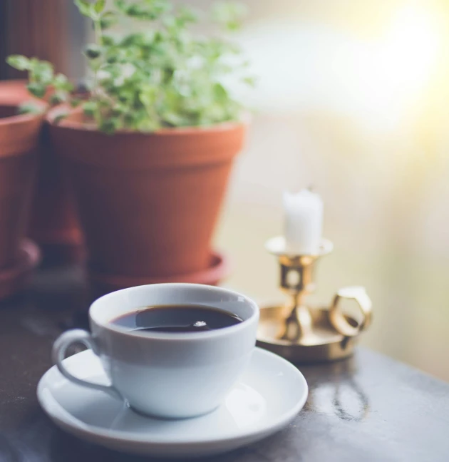 a cup of coffee sitting on top of a table, pexels contest winner, romanticism, small plants on the window sill, shining light, album, youtube thumbnail