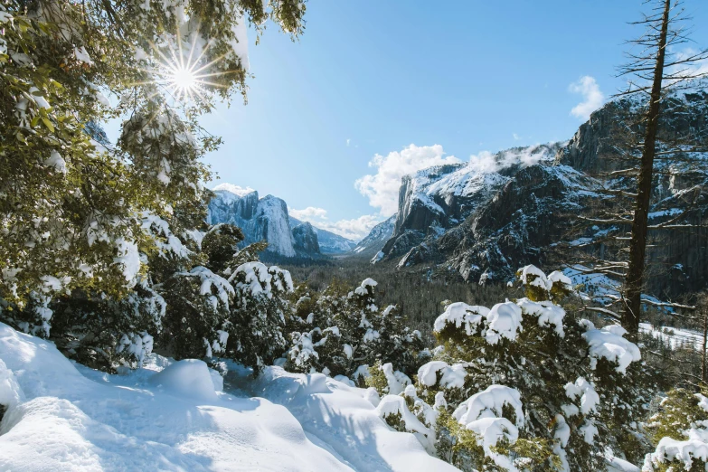 a man riding skis down a snow covered slope, a picture, inspired by Myles Birket Foster, unsplash contest winner, hudson river school, overlooking a valley with trees, yosemite valley, the sun is shining. photographic, trees in foreground