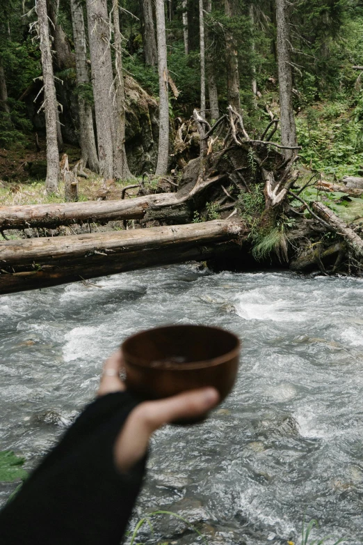 a person holding a bowl in front of a river, by Jessie Algie, extreme log shot, the sacred cup of understading, black fir, smol