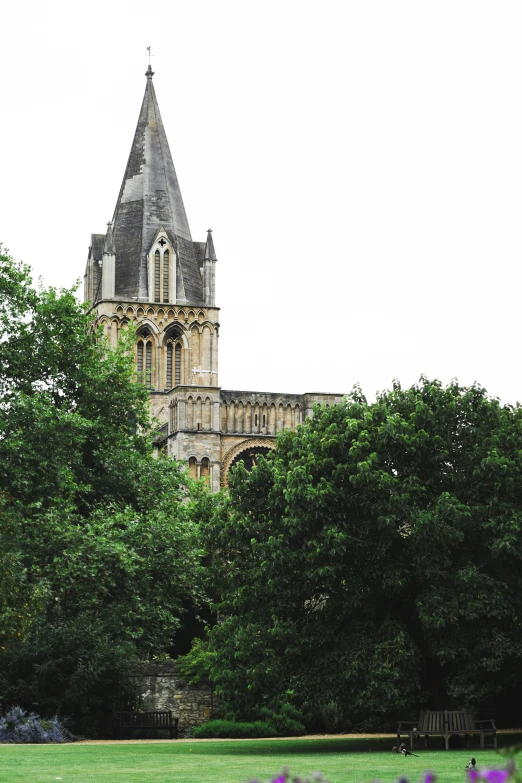 a large clock tower towering over a lush green field, romanesque, daniel oxford, buttresses, overgrown with trees, taken from the high street