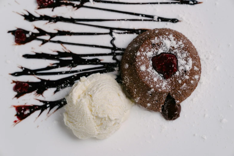 a white plate topped with a chocolate cookie and ice cream, detailed product image, raspberry, covered in white flour, background image