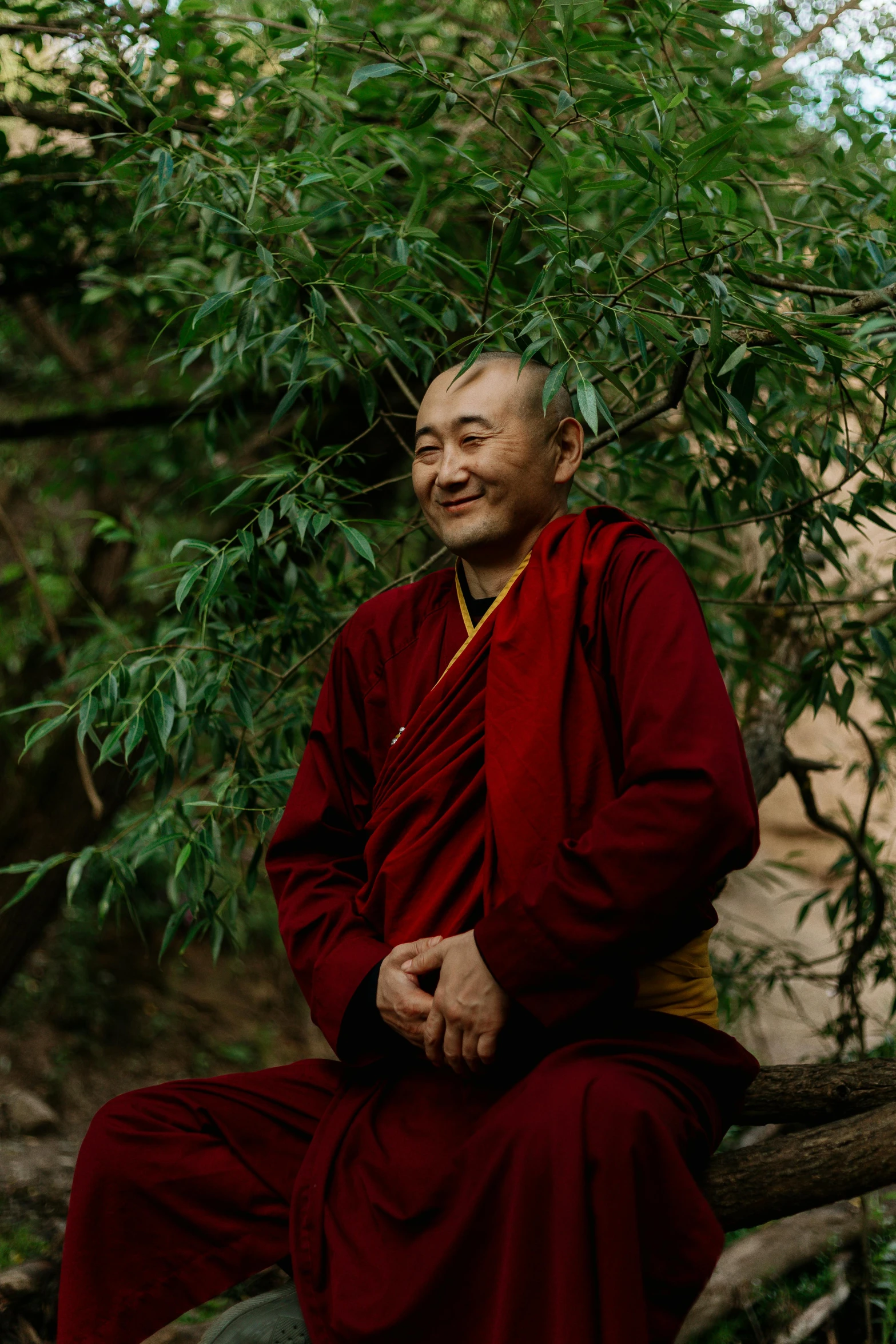 a man in a red robe sitting on a tree branch, mutahar laughing, lama, profile image, high-resolution photo