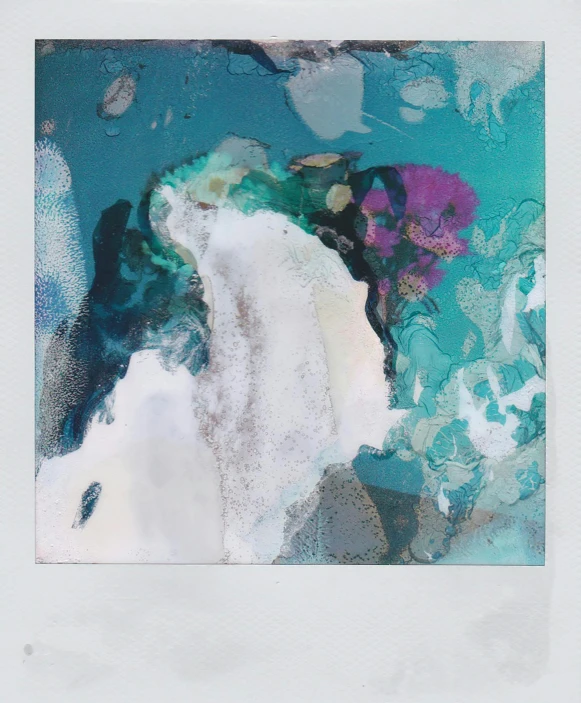 a polar polar polar polar polar polar polar polar polar polar polar polar polar polar polar polar polar polar polar polar polar polar polar polar polar polar polar, a polaroid photo, inspired by Yanjun Cheng, unsplash, lyrical abstraction, fluid acrylic pour art, white and teal metallic accents, coloured polaroid photograph, taken on a 1970s polaroid camera