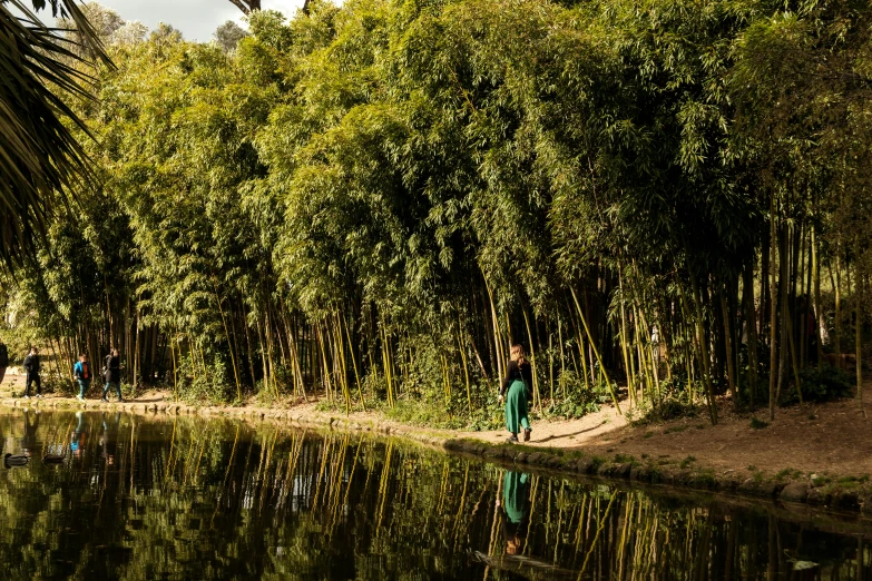 a group of people standing next to a body of water, by Jan Tengnagel, sumatraism, bamboo forest, girl walking in forest, urban surroundings, egypt