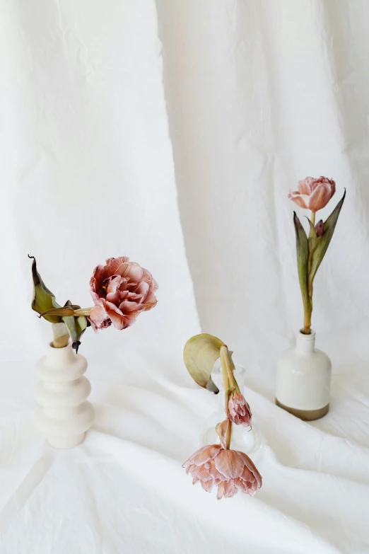 a couple of vases that have flowers in them, a still life, unsplash, white and pink cloth, tall shot, white backdrop, natural point rose'