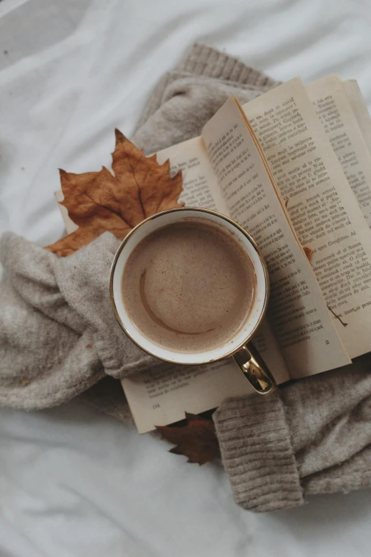 an open book sitting on top of a bed next to a cup of coffee, pexels contest winner, romanticism, brown sweater, thumbnail, leaves and simple cloth, looking seductive