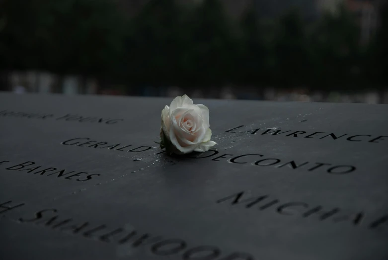 a white rose sitting on top of a black table, by Elsa Bleda, pexels contest winner, unilalianism, world trade center twin towers, tombstone, slate, burned