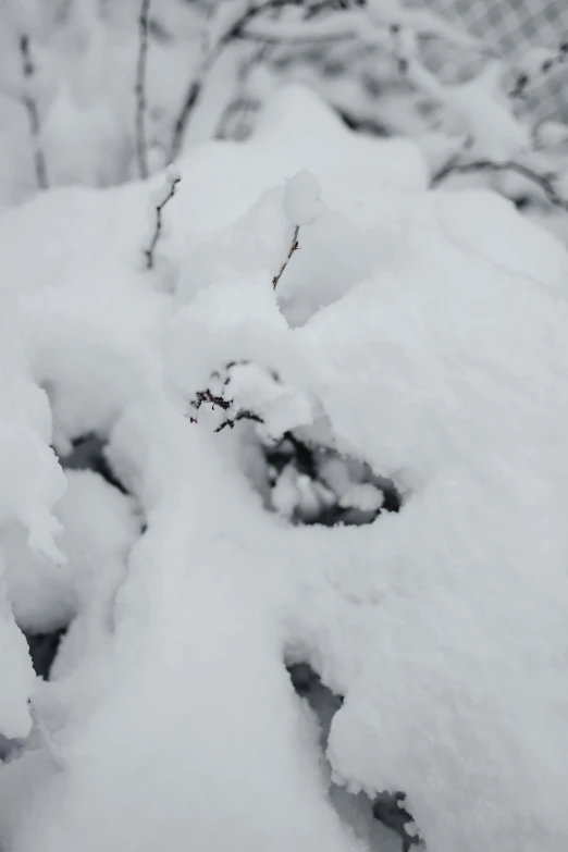 a fire hydrant covered in snow next to trees, by Peter Snow, reddit, land art, some zoomed in shots, distant knotted branches, is this loss?, cinematic shot ar 9:16 -n 6 -g