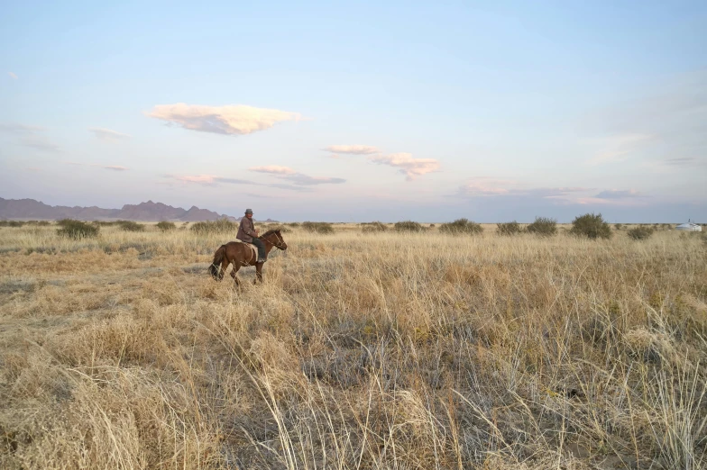 a man riding a horse through a dry grass field, desert in the background, profile image, maintenance photo, conde nast traveler photo