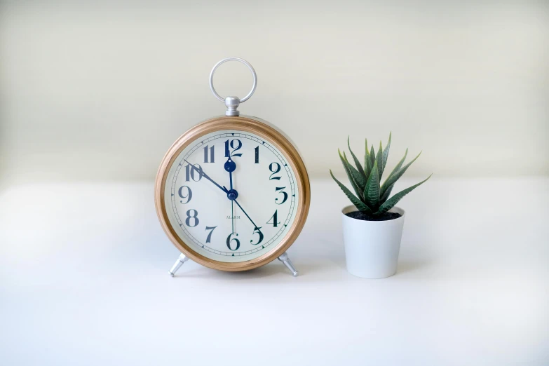 an alarm clock sitting next to a potted plant, unsplash, silver with gold trim, with a white background, spiky, brown