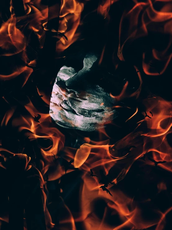 a close up of a fire with flames in the background, an album cover, unsplash contest winner, conceptual art, torn paper smouldering smoke, alchemical still made from clay, the fire is made of binary code, dark. no text