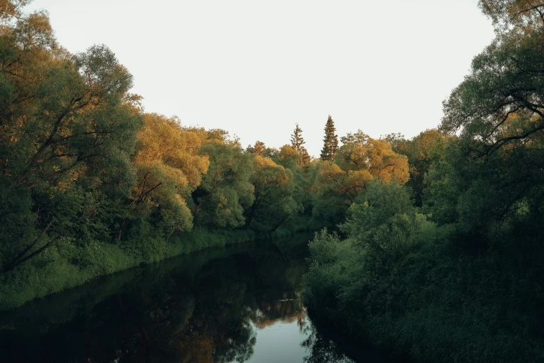 a river running through a lush green forest, by Attila Meszlenyi, sunset golden hour hues, nature photo