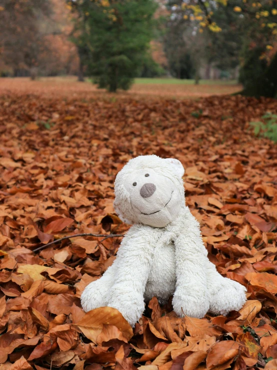 a white teddy bear sitting on top of a pile of leaves, inspired by William Stott, autumn leaves on the ground, plush toy, hergé, enjoying a stroll in the forest