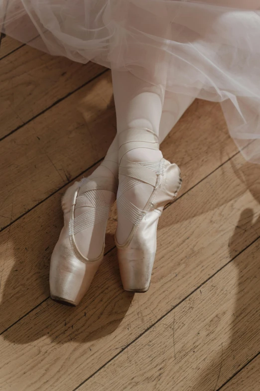 a pair of ballet shoes sitting on top of a wooden floor, by Elizabeth Polunin, trending on unsplash, arabesque, graceful face, silver，ivory, panels, david hamilton