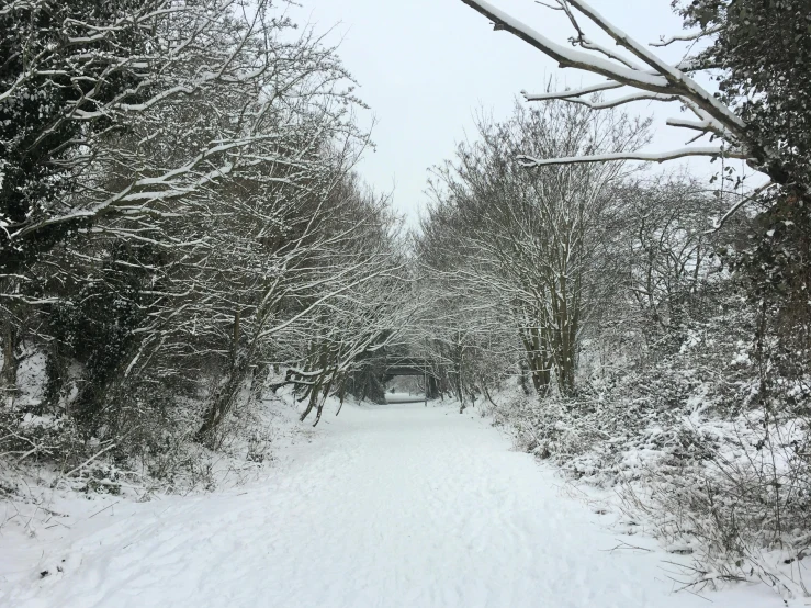 a snow covered path in the middle of a forest, inspired by Alexander Nasmyth, unsplash, land art, archway, esher, 2000s photo, white sky