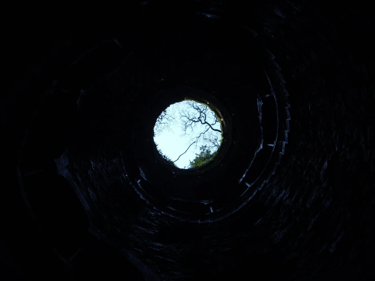 a hole in the ground with a tree in it, an album cover, inspired by Andy Goldsworthy, unsplash, ceiling hides in the dark, ((fish eye)), interior view, dark-esque