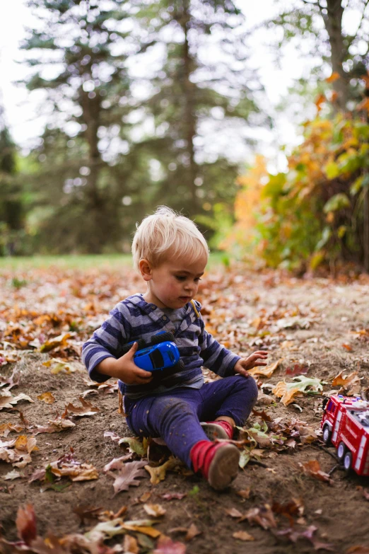 a little boy sitting on the ground playing with a toy truck, by Jessie Algie, pexels contest winner, fall foliage, picnic, looking at the treasure box, shot with premium dslr camera